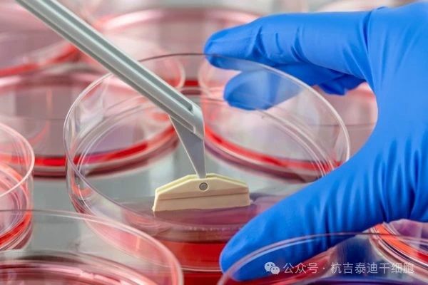 什么是干細胞療法？