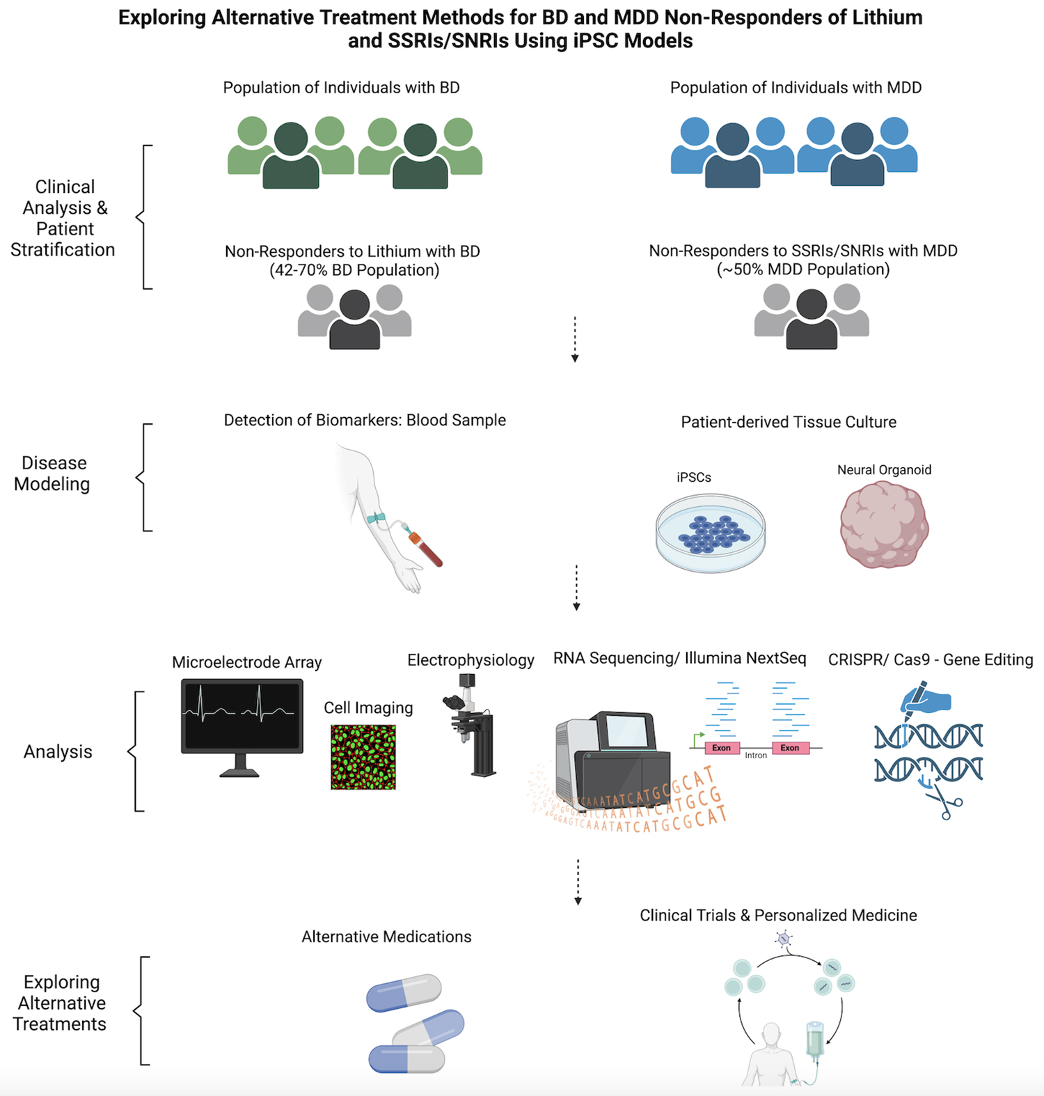 芹菜素更有效地減弱了BD患者iPSC衍生星形膠質(zhì)細胞的炎癥反應(yīng)。