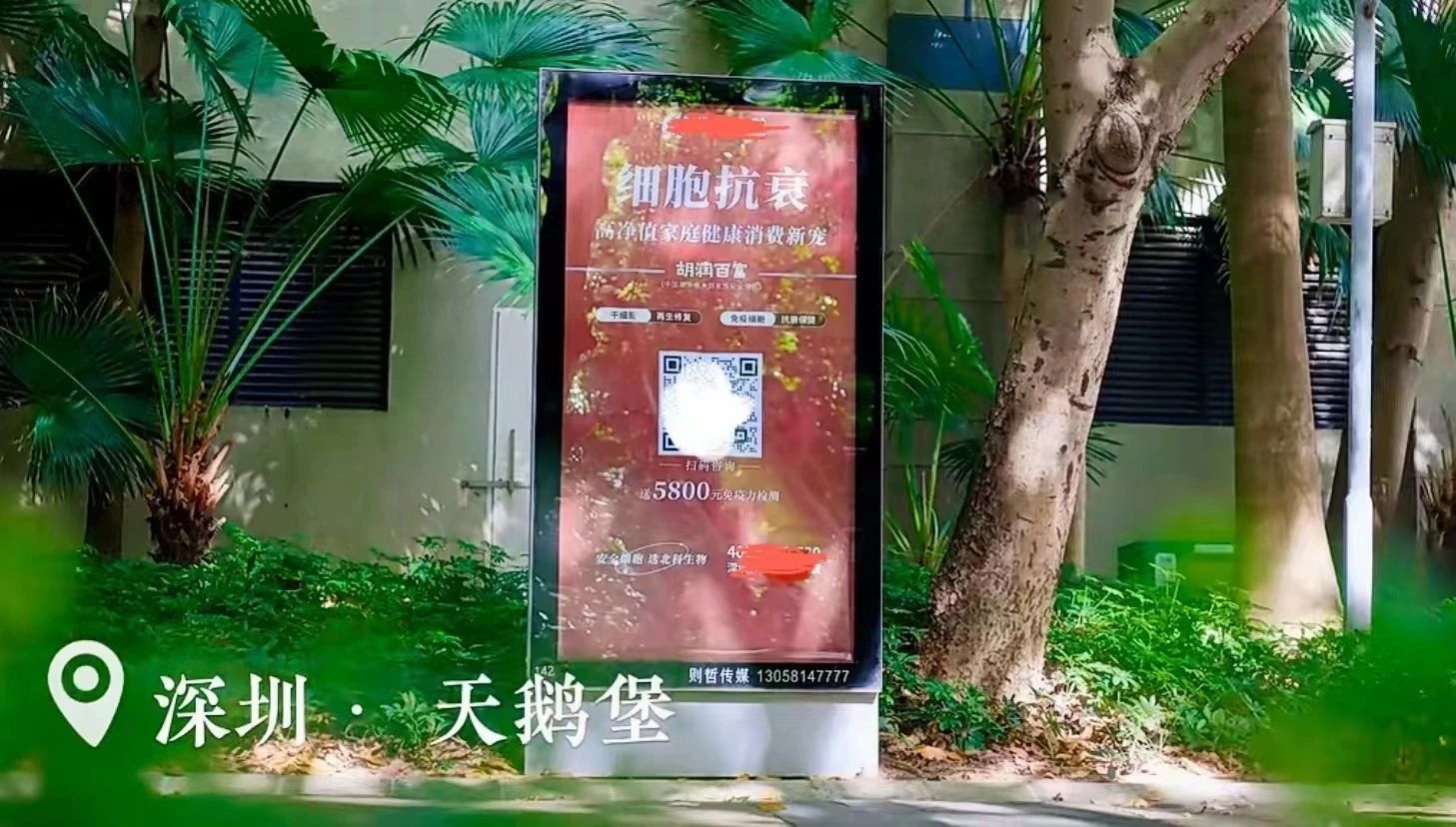 這些政策的出臺，為深圳的細胞和基因治療領域再次注入了新的活力。