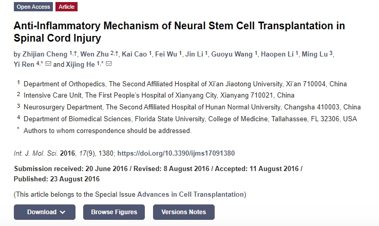 神經(jīng)干細(xì)胞移植治療脊髓損傷的抗炎機(jī)制