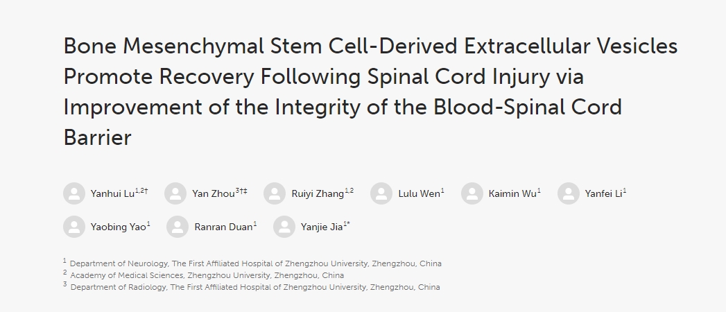 骨髓間充質(zhì)干細(xì)胞衍生的細(xì)胞外囊泡通過改善血脊髓屏障的完整性促進(jìn)脊髓損傷后的恢復(fù)
