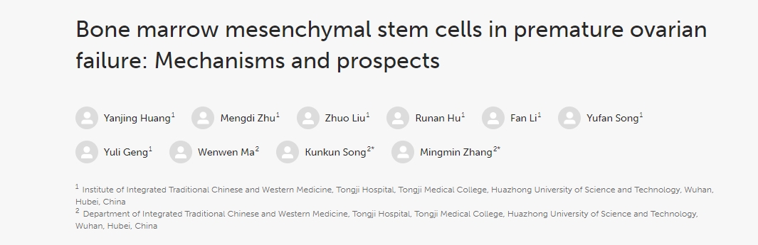 骨髓間充質干細胞在卵巢早衰中的作用:機制與前景 骨髓間充質干細胞在卵巢早衰中的作用:機制與前景