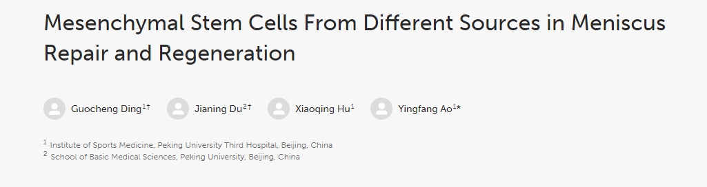 不同來源的間充質(zhì)干細胞在半月板修復和再生中的作用