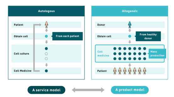 ▲自體細胞療法和同種異體細胞療法