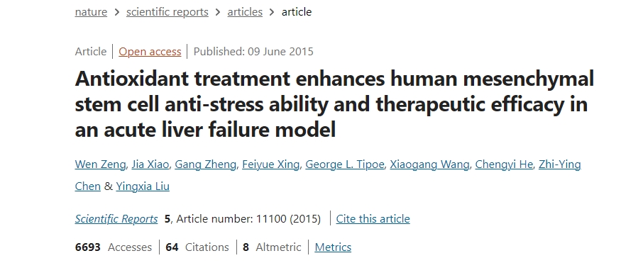 抗氧化治療增強(qiáng)人類(lèi)間充質(zhì)干細(xì)胞在急性肝衰竭模型中的抗應(yīng)激能力和治療效果