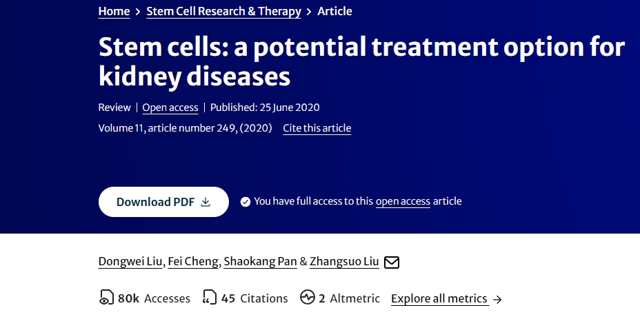 干細胞:腎臟疾病的潛在治療選擇 干細胞:腎臟疾病的潛在治療選擇