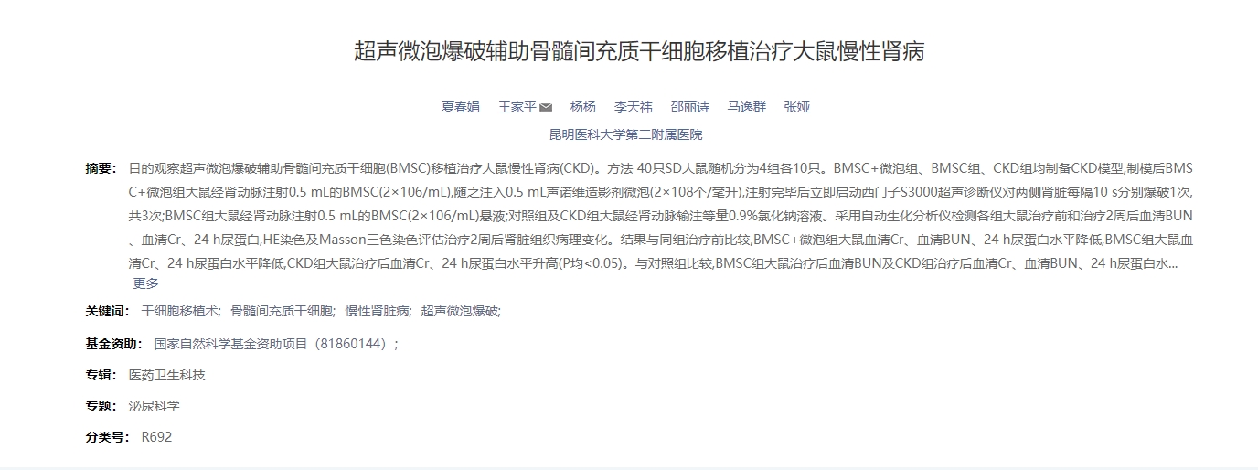 聲微泡爆破輔助骨髓間充質(zhì)干細胞移植治療大鼠慢性腎病 聲微泡爆破輔助骨髓間充質(zhì)干細胞移植治療大鼠慢性腎病