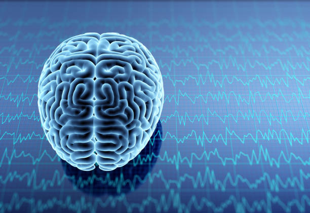 胚胎、神經(jīng)、誘導(dǎo)多能、間充質(zhì)干細(xì)胞治療神經(jīng)系統(tǒng)疾病的研究進(jìn)展