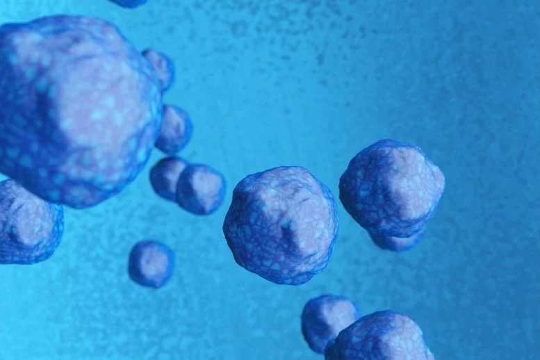 杜克大學(xué)-新加坡國立大學(xué)和MBI的科學(xué)家發(fā)現(xiàn)了一種激活休眠神經(jīng)干細(xì)胞的途徑，通過針對(duì)星形膠質(zhì)細(xì)胞和神經(jīng)干細(xì)胞之間的相互作用，有可能為神經(jīng)發(fā)育障礙帶來新的治療方法。