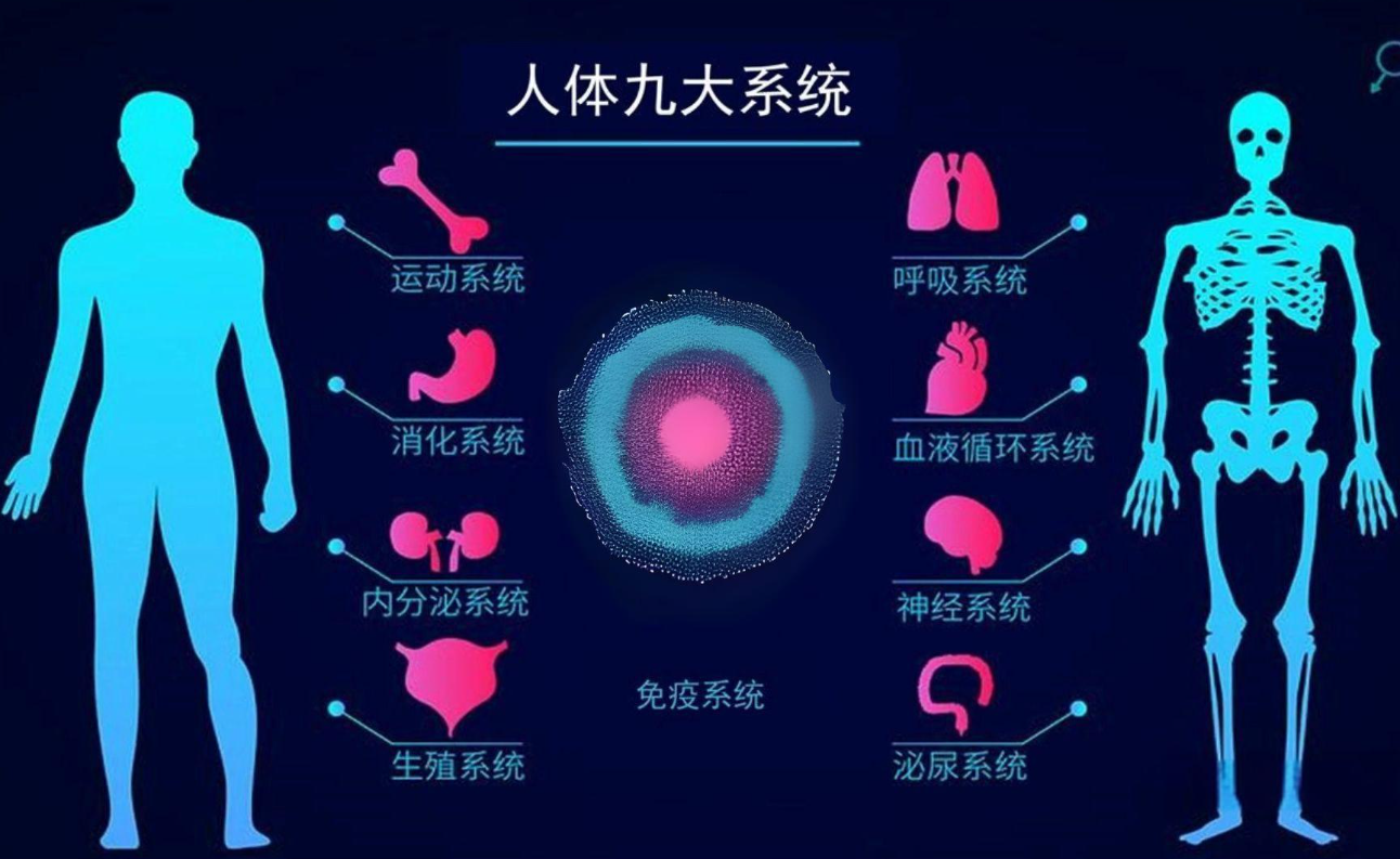 2024干細胞療法前沿：九大系統(tǒng)7200+臨床試驗，攻克200+疾病在即