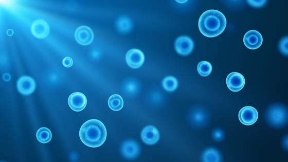 用于研究治療自閉癥的干細胞有哪些？