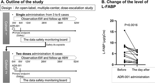 研究概要 研究概要
