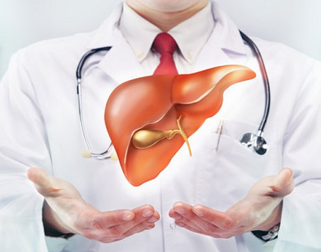 干細(xì)胞治療肝硬化的新進(jìn)展與前景如何？