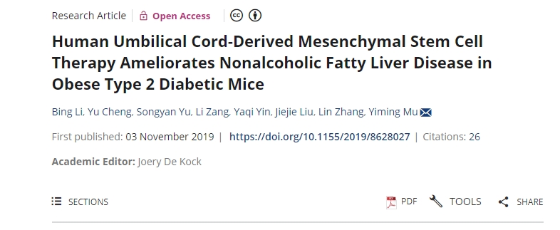 人臍帶間充質(zhì)干細胞療法可改善肥胖2型糖尿病小鼠的非酒精性脂肪肝疾病