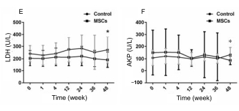 人臍帶間充質(zhì)干細(xì)胞（hUC-MSC）治療對肝硬化失代償期患者肝功能的影響