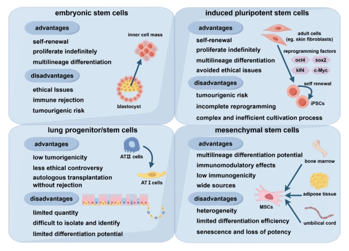 圖2：不同類型干細胞的優(yōu)點和缺點。
