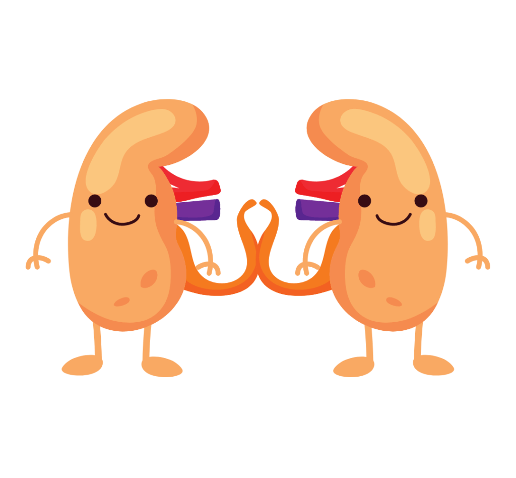 干細胞療法對治療腎臟疾病和腎移植的研究進展