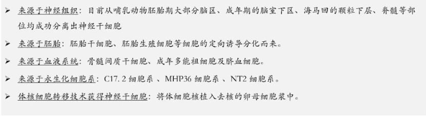 神經(jīng)干細胞（NSC）的來源