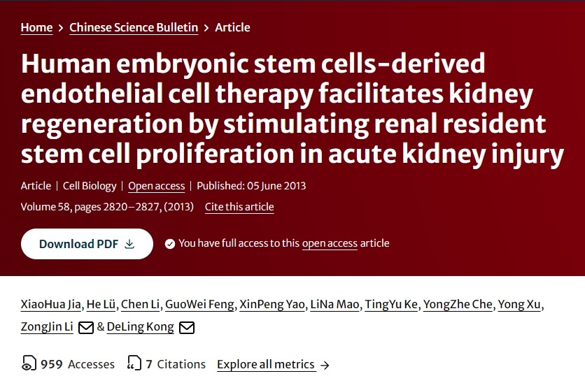 人類胚胎干細(xì)胞衍生的內(nèi)皮細(xì)胞療法通過刺激急性腎損傷中腎臟駐留干細(xì)胞增殖促進(jìn)腎臟再生