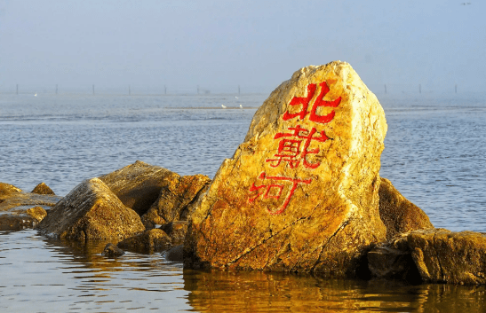 院士領(lǐng)銜，細胞療法“駛?cè)搿北贝骱樱’燄B(yǎng)勝地開啟醫(yī)療創(chuàng)新新篇章