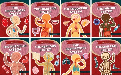 人體八大系統(tǒng)疾病有哪些？間充質(zhì)干細(xì)胞治療的案例有哪些？