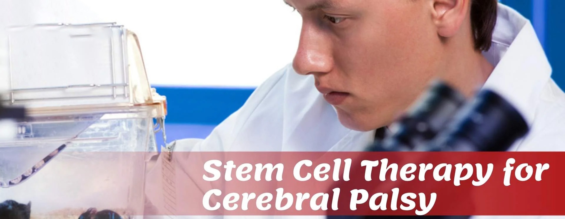 2019-2024年干細胞治療腦癱的臨床研究進展