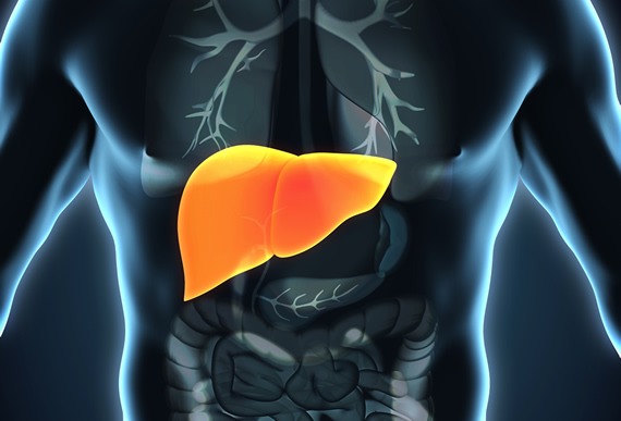 肝衰竭如何治療？干細胞治療為什么會成為修復(fù)肝衰竭的新途徑？