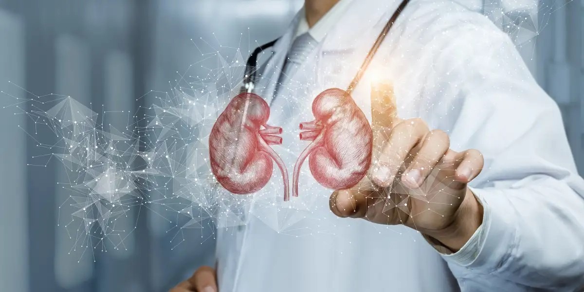 慢性腎病如何治療？干細(xì)胞治療為慢性腎病患者指明了一條新道路