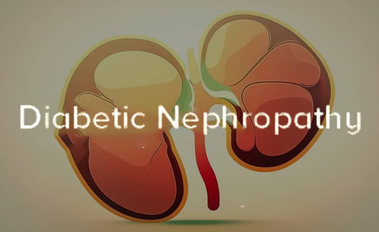 2021-2024年干細(xì)胞治療糖尿病腎病患者臨床研究進(jìn)展 2021-2024年干細(xì)胞治療糖尿病腎病患者臨床研究進(jìn)展