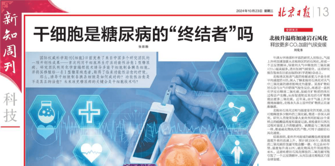 北京日?qǐng)?bào)：干細(xì)胞技術(shù)：糖尿病的“終結(jié)者”，新希望降臨！