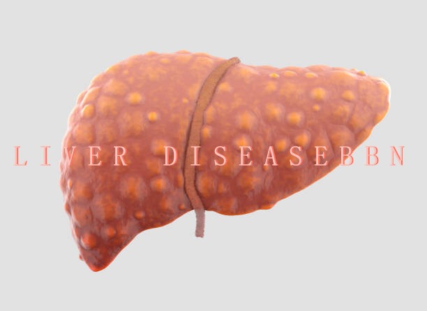 干細(xì)胞治療肝?。?021-2024年臨床研究進(jìn)展回顧