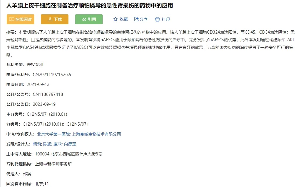 人羊膜上皮干細胞在制備治療順鉑誘導(dǎo)的急性腎損傷的藥物中的應(yīng)用 人羊膜上皮干細胞在制備治療順鉑誘導(dǎo)的急性腎損傷的藥物中的應(yīng)用