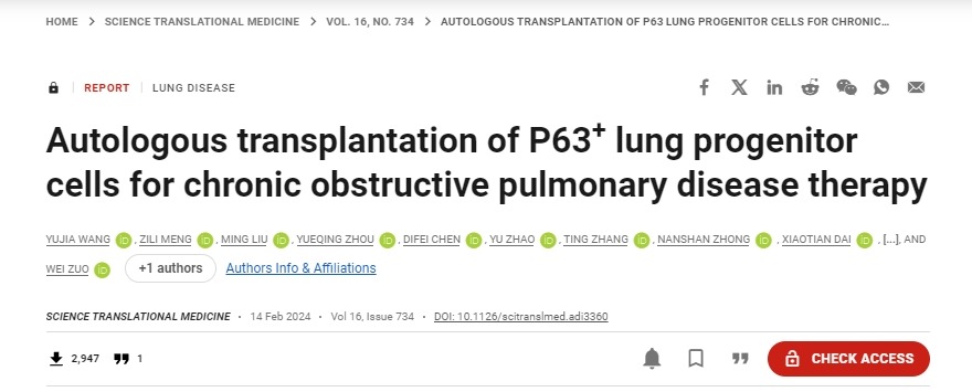 移植自體P63陽性肺前體細(xì)胞用于慢性阻塞性肺病的治療