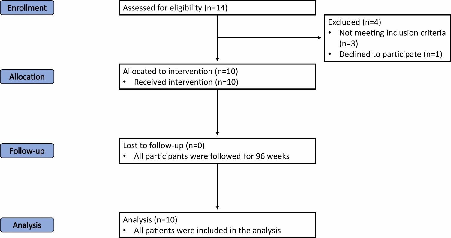 圖一：試驗各階段（招募、分配、跟進(jìn)和分析）進(jìn)展的流程圖