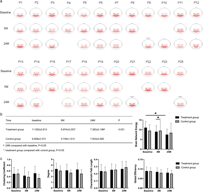 圖3：腦功能網(wǎng)絡(luò)分析
