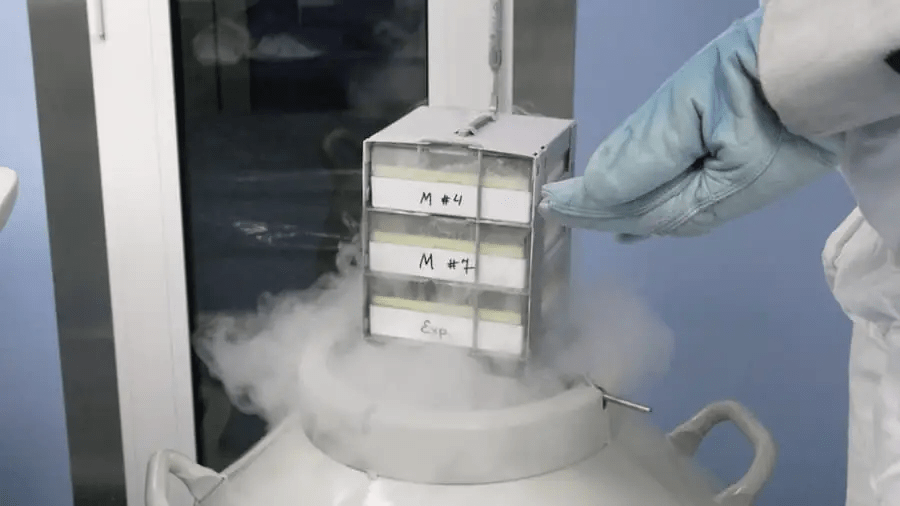 從實驗室到臨床：干細(xì)胞機構(gòu)是如何生產(chǎn)高質(zhì)量干細(xì)胞的？