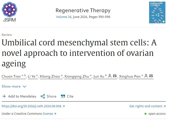 臍帶間充質干細胞：干預卵巢衰老的新方法