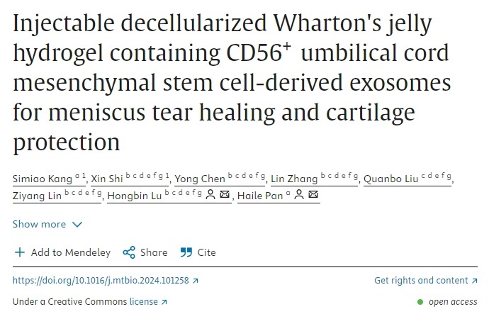含有CD56+臍帶間充質(zhì)干細胞衍生外泌體的可注射脫細胞華通氏膠水凝膠用于半月板撕裂愈合和軟骨保護 含有CD56+臍帶間充質(zhì)干細胞衍生外泌體的可注射脫細胞華通氏膠水凝膠用于半月板撕裂愈合和軟骨保護