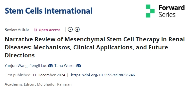 最新綜述：干細(xì)胞治療腎臟疾病的機(jī)制、臨床應(yīng)用和未來(lái)方向