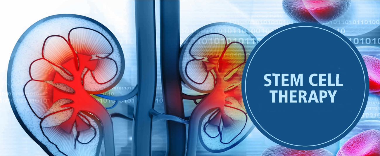 干細(xì)胞治療腎臟疾病的6大原理機制，您都了解嗎？
