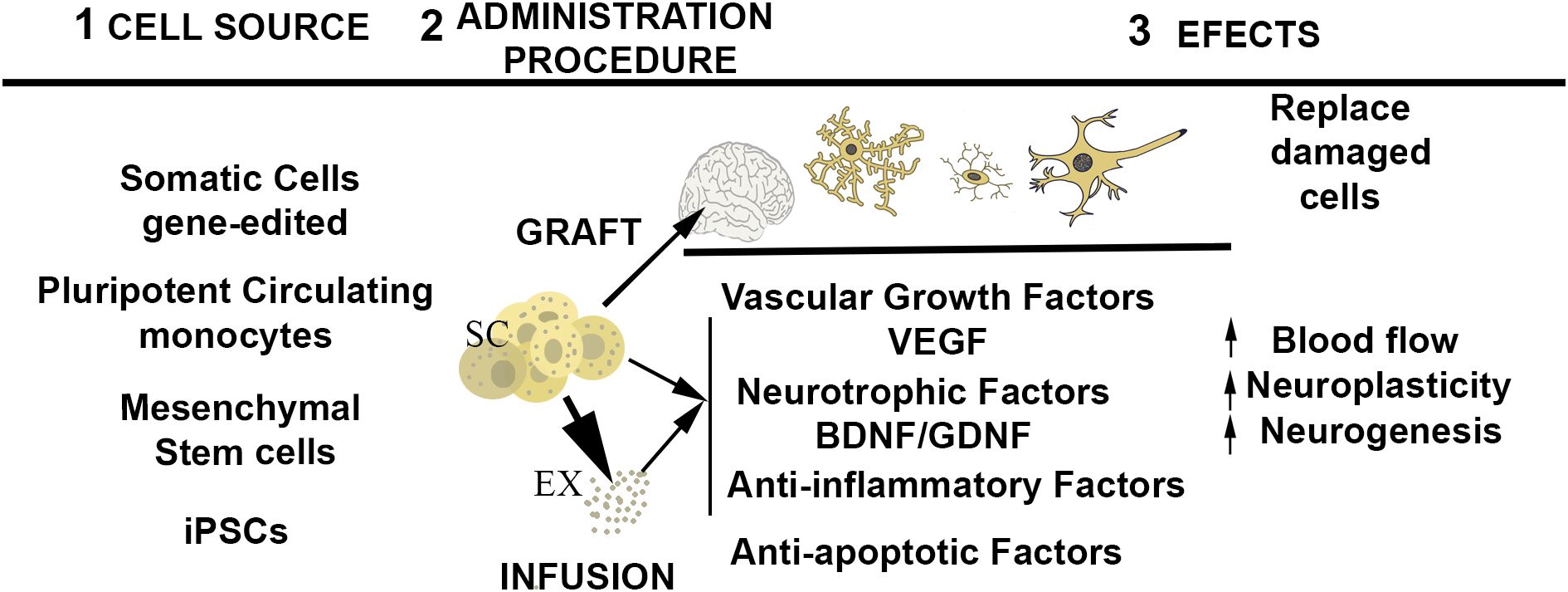 圖1：干細(xì)胞治療中心事件的示意圖。