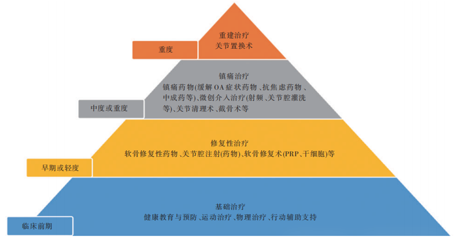 中國骨關節(jié)炎診療指南(2024 版) 中國骨關節(jié)炎診療指南(2024 版)