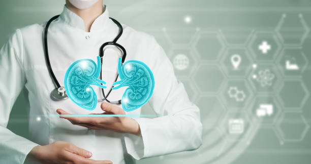 中醫(yī)藥聯(lián)合干細胞治療慢性腎臟病的現(xiàn)狀與展望