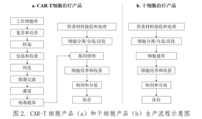 圖2.CAR-T細胞產(chǎn)品(a)和干細胞產(chǎn)品(b)生產(chǎn)流程示意圖 圖2.CAR-T細胞產(chǎn)品(a)和干細胞產(chǎn)品(b)生產(chǎn)流程示意圖