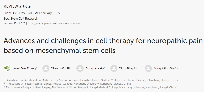 基于間充質(zhì)干細胞的神經(jīng)性疼痛細胞治療進展與挑戰(zhàn)