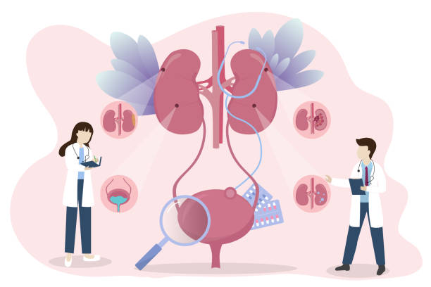 探索干細(xì)胞療法：真的能減少腎病患者的透析頻率嗎？