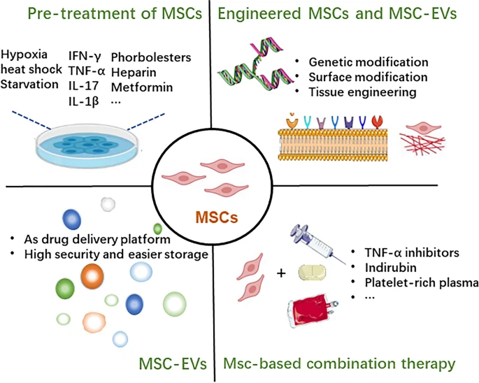 圖3：增強(qiáng)間充質(zhì)干細(xì)胞治療效果的方法。