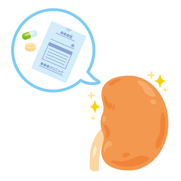 干細胞治療晚期腎?。盒迯蜔o望還是緩解轉(zhuǎn)機？