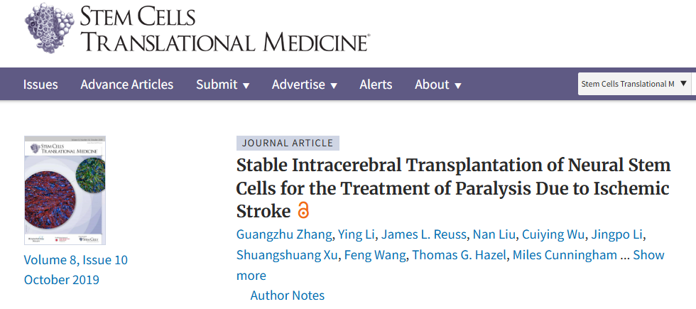 神經(jīng)干細胞穩(wěn)定腦內(nèi)移植治療缺血性中風(fēng)所致癱瘓 神經(jīng)干細胞穩(wěn)定腦內(nèi)移植治療缺血性中風(fēng)所致癱瘓