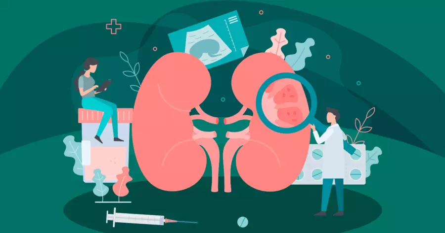 干細(xì)胞治療腎病：為何早晚期療效差異懸殊？關(guān)鍵機制揭秘